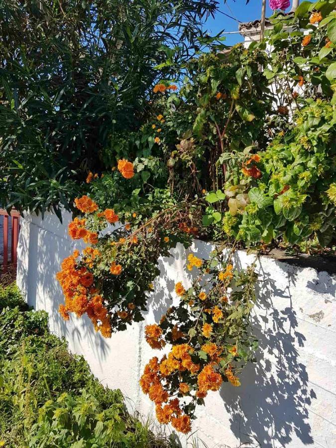 Katy'S House Center Διαμέρισμα Νέος Μαρμαράς Εξωτερικό φωτογραφία